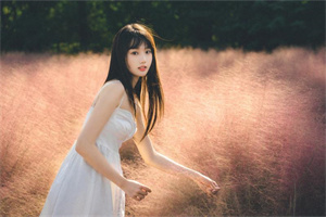 上海品茶网：Shanghai must-visit places ranking popular